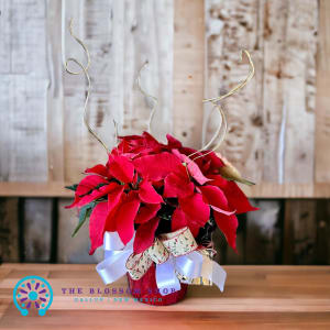 Red Poinsettia Flower Bouquet