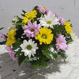 Daisy Party Arrangement Flower Bouquet