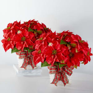 Happiest Holidays Poinsettia Flower Bouquet