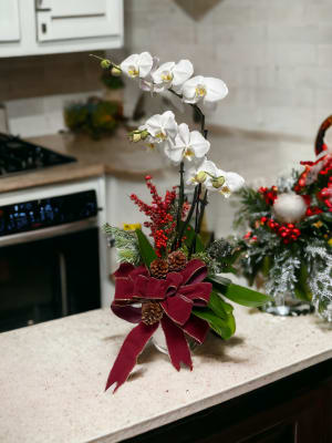 Holiday Orchid Design 1 Flower Bouquet