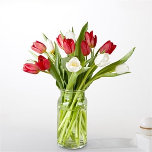 Candy Cane Tulips Flower Bouquet