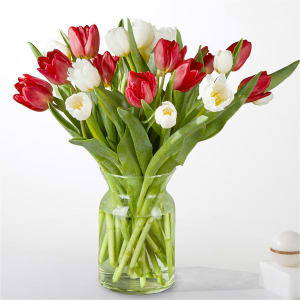 Candy Cane Tulips Flower Bouquet