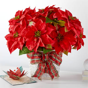 Happiest Holidays Poinsettia and Lovepop Card Flower Bouquet