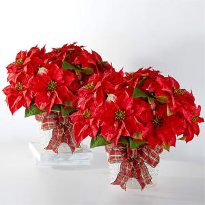 Happiest Holidays Poinsettia Bundle Flower Bouquet