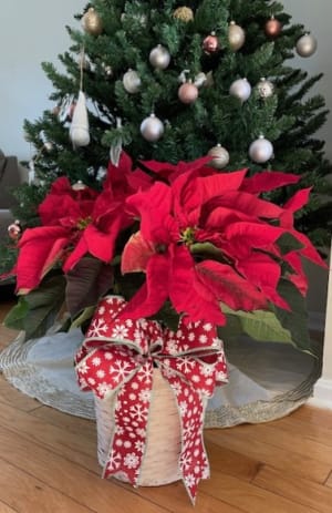 Red Poinsettia Basket (L) 8-inch