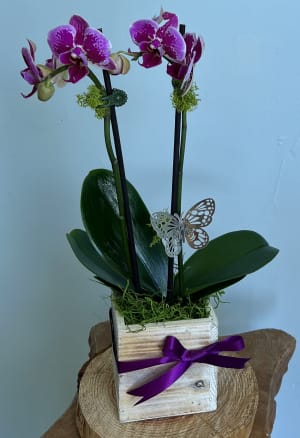 Small Beautiful Purple Orchid Flower Bouquet