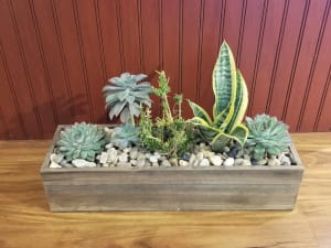 Grand Succulent Display Flower Bouquet