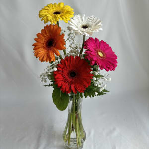 Gorgeous Gerberas Flower Bouquet