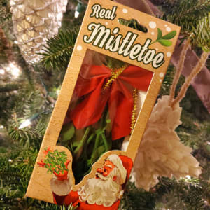 Mistletoe Flower Bouquet