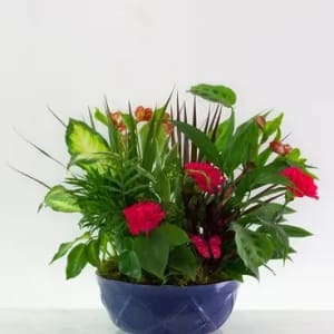 Dish Garden with fresh cuts Flower Bouquet