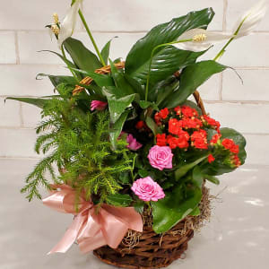 A Blooming Attraction Garden Basket Flower Bouquet