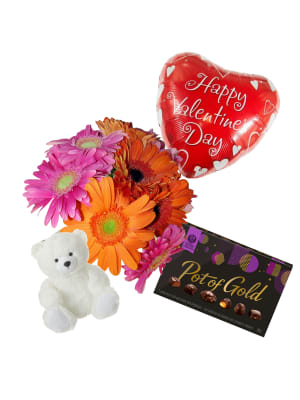 Valentine's Day Gerbera Package Flower Bouquet