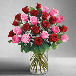 2 Dozen Pink and Red Roses Flower Bouquet