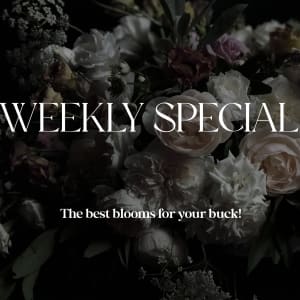 Weekly Special