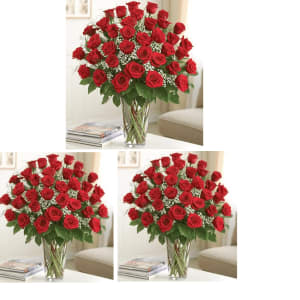 Premium 3 Dozen Long Stem Red Roses Flower Bouquet