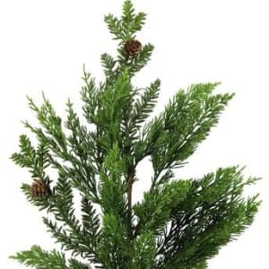 Juniper/Arborvitae Fir Spray 27"H Flower Bouquet