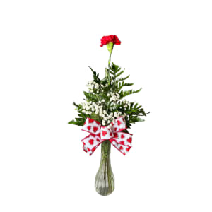 Valentine's Day Carnations