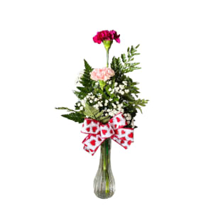 Valentine's Day Carnations