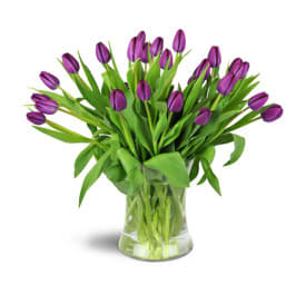 Royal Tulips Flower Bouquet