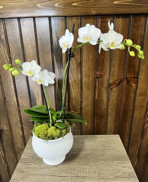 Mini Orchid Flower Bouquet