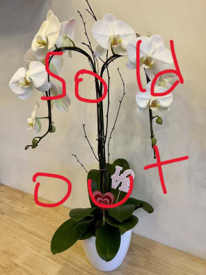 Double White Orchid Flower Bouquet
