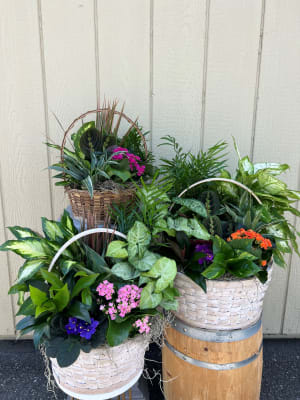 Dishgarden Basket Flower Bouquet