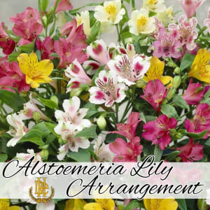 Alstroemeria Arrangement in A Vase Flower Bouquet