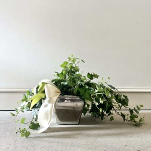 Luxe Green Plant Flower Bouquet