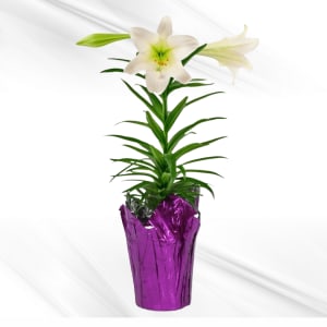 Easter Lily Flower Bouquet
