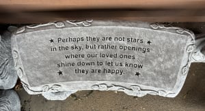 Perhaps They Are Not Stars Bench Flower Bouquet