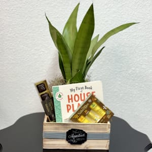 House Plant Giftbox Flower Bouquet