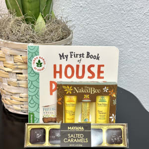 House Plant Giftbox