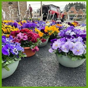 Spring Pansies Flower Bouquet