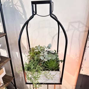 Modern Succulent Planter Flower Bouquet