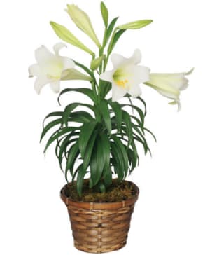 Easter Lily Flower Bouquet