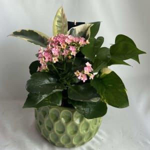 Springtime Tropical Planter Flower Bouquet