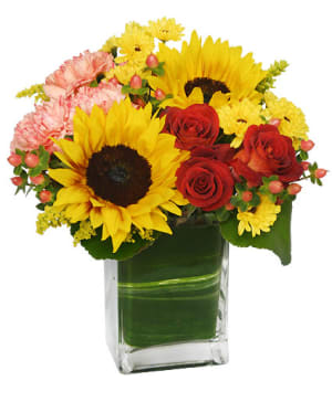 SEASON FOR SUNFLOWER Flower Bouquet