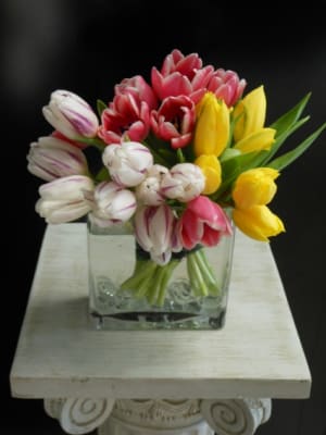 GANGS OF TULIPS Flower Bouquet