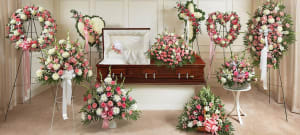 The Pink Tributes Package-FNARP-10 Flower Bouquet