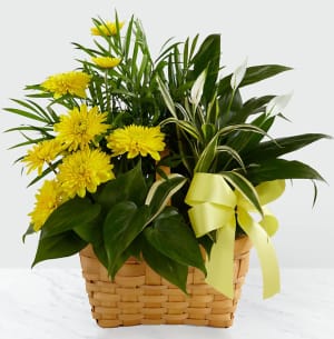 Living Spirit™ Dishgarden- FN00124 Flower Bouquet