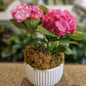 Hydrangea in Ceramic Flower Bouquet