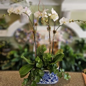 Orchid Garden in Wedgewood Flower Bouquet