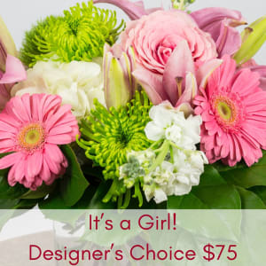 It's a Girl! Designer's Choice Flower Bouquet