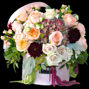 BLUSH BEAUTY IN ANY COLOR BOX Flower Bouquet