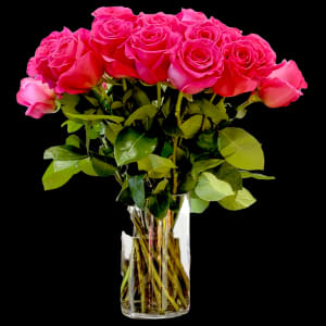 CLASSIC HOT PINK IN VASE Flower Bouquet