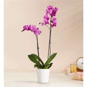 Double Purple Orchid Flower Bouquet