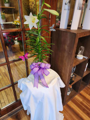 Traditional Easter Lily Flower Bouquet