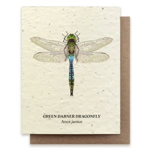 Dragonfly Flower Bouquet