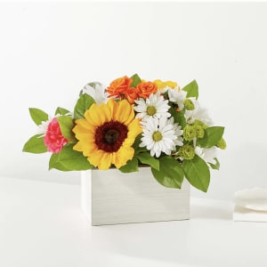 Sun-drenched Blooms Box Bouquet Flower Arrangement Sun-drenched Blooms Box Bouquet Flower Bouquet
