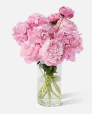 Fresh Peony (Limited Availibility) Flower Bouquet